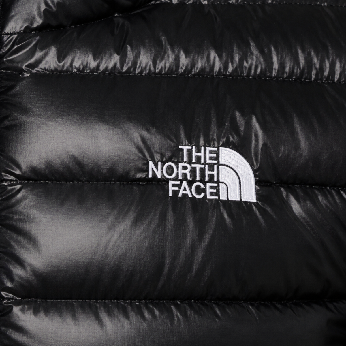 CHAQUETA NORTH FACE EK